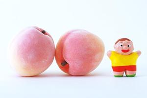 恵比寿で楽しむシーシャの魅力とは？おすすめフレーバーとリラックススポット