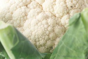 越谷でうなぎを食べるならこのお店