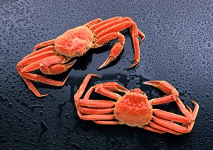 仙台の焼鳥とワインが愉しめる居酒屋