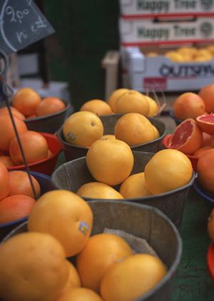 新橋で宴会をするなら美味しい所