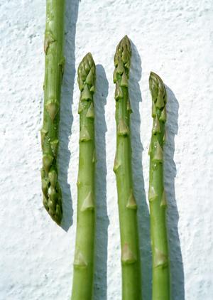 神戸三宮で味わう極上のステーキ
