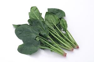 本場のドイツソーセージを自宅で楽しむ！取り寄せの方法とおすすめ商品ガイド